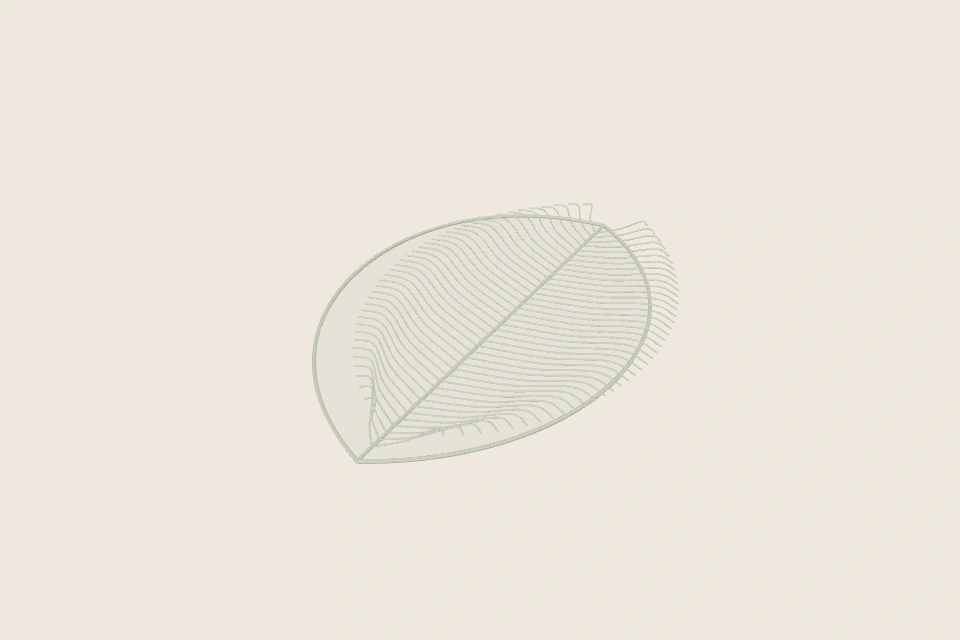 3D-Interpretation von Durchbrochene Blatt-Platzsets